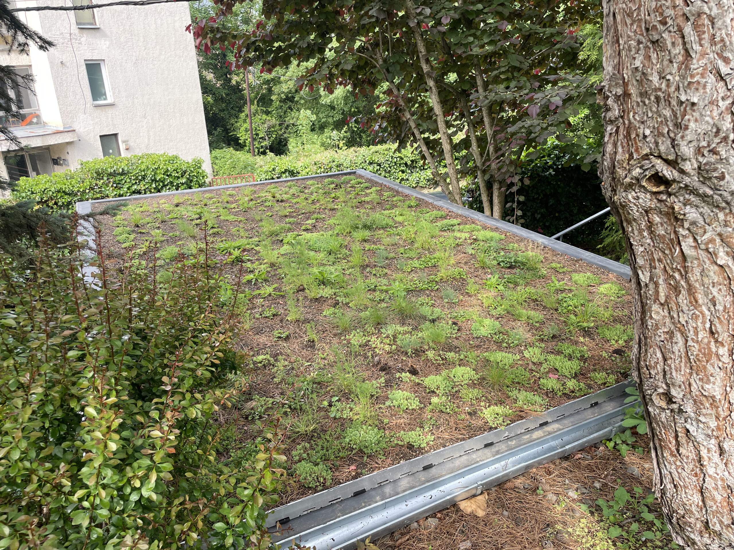 Budapest, II. kerület garázsfödém csapadékvízszigetelésének felújítása, zöldtetőkialakítása